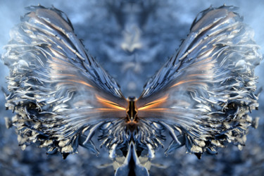 metamorphose-thierry-parezys.jpg